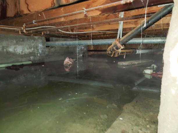 Best Fire Damage Restoration  in Hazard, KY