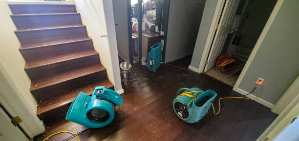 Best Flooded house restoration  in Hazard, KY
