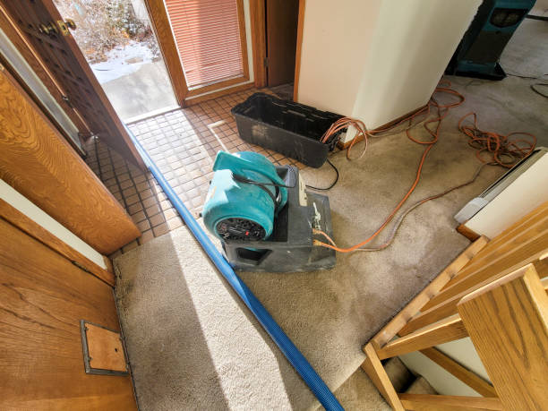 Water damage restoration mold remediation in Hazard, KY