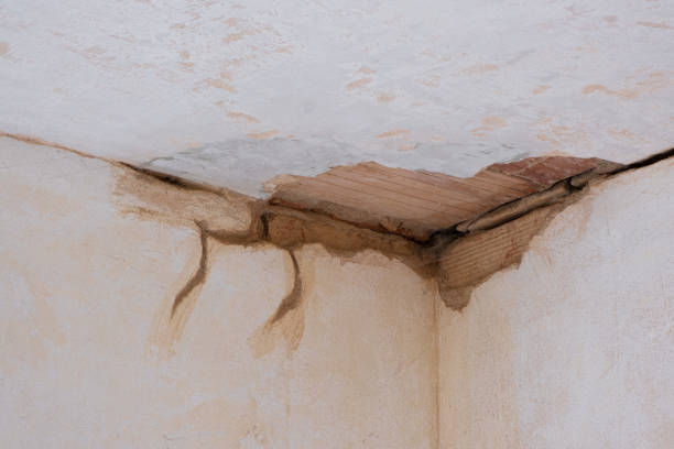 Best Local water damage restoration  in Hazard, KY
