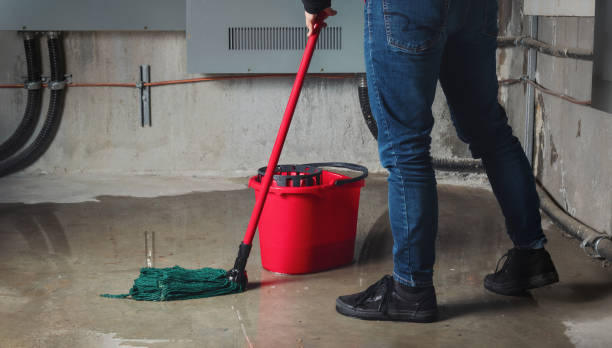 Best Carpet water damage restoration  in Hazard, KY