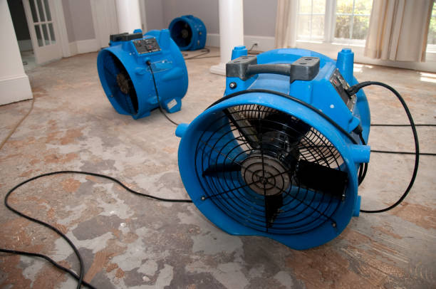 Best Sewage cleanup and water damage restoration  in Hazard, KY