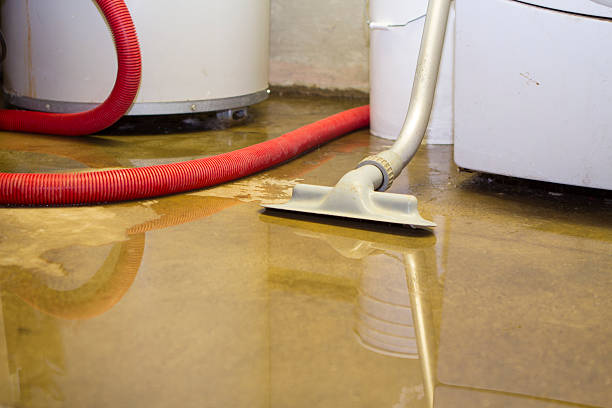 Reliable Hazard, KY Water damage restoration Solutions