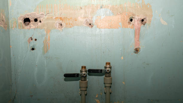 Best Professional water damage repair  in Hazard, KY