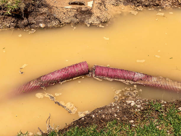 Best Water damage restoration cost  in Hazard, KY