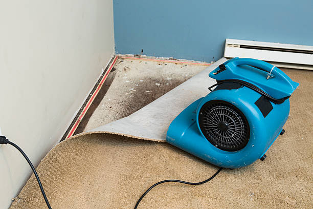 Best Basement water damage restoration  in Hazard, KY